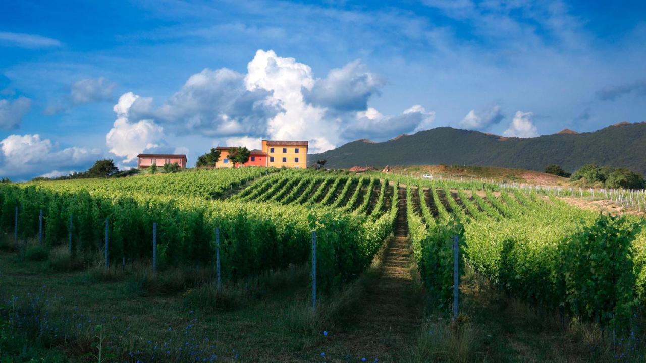 Tenuta Grimaldi Wine Resort Matelica Buitenkant foto