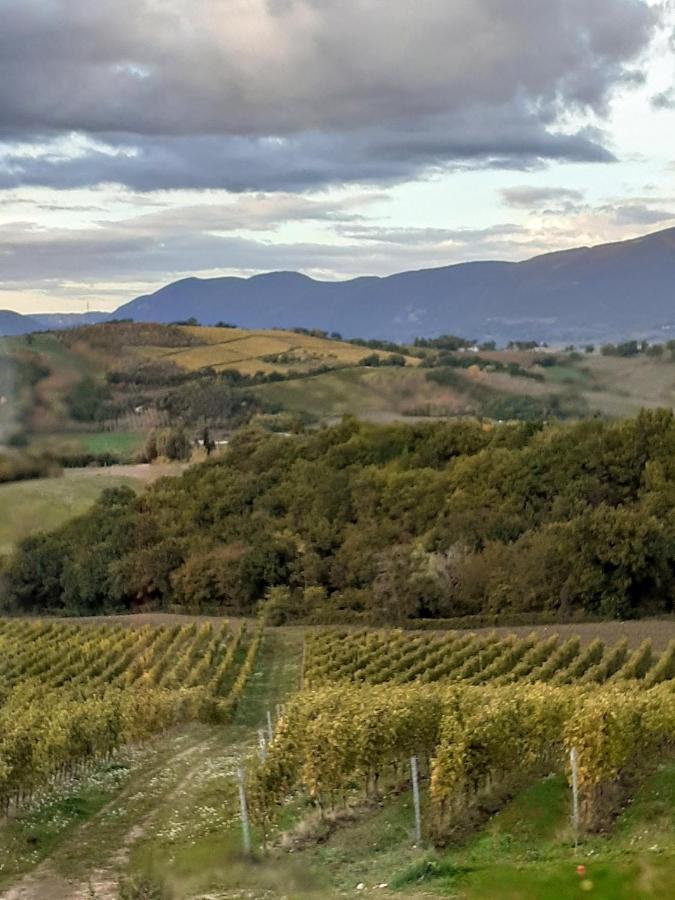 Tenuta Grimaldi Wine Resort Matelica Buitenkant foto