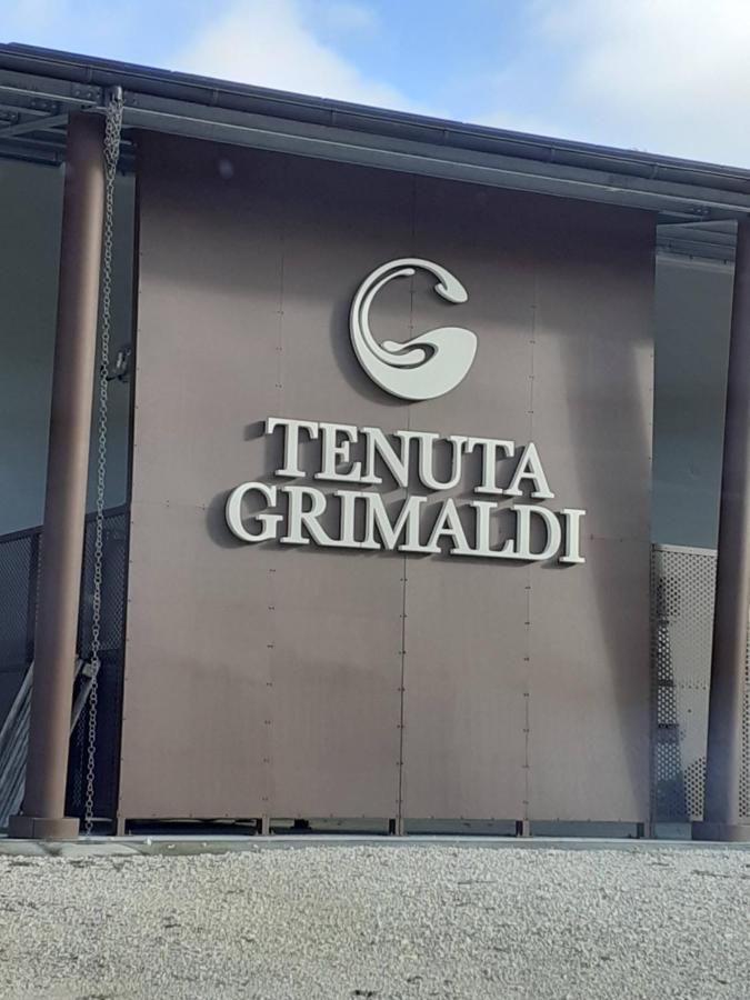 Tenuta Grimaldi Wine Resort Matelica Buitenkant foto