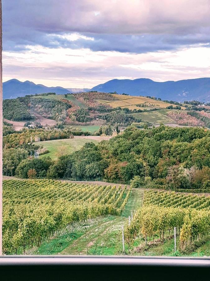 Tenuta Grimaldi Wine Resort Matelica Buitenkant foto
